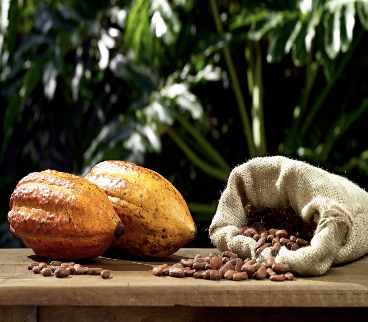 Apartamento 2 Quartos Mobiliado